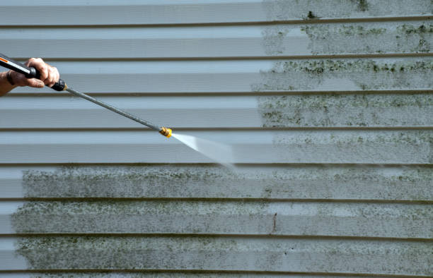 Best Certified Mold Removal  in Norwalk, CA